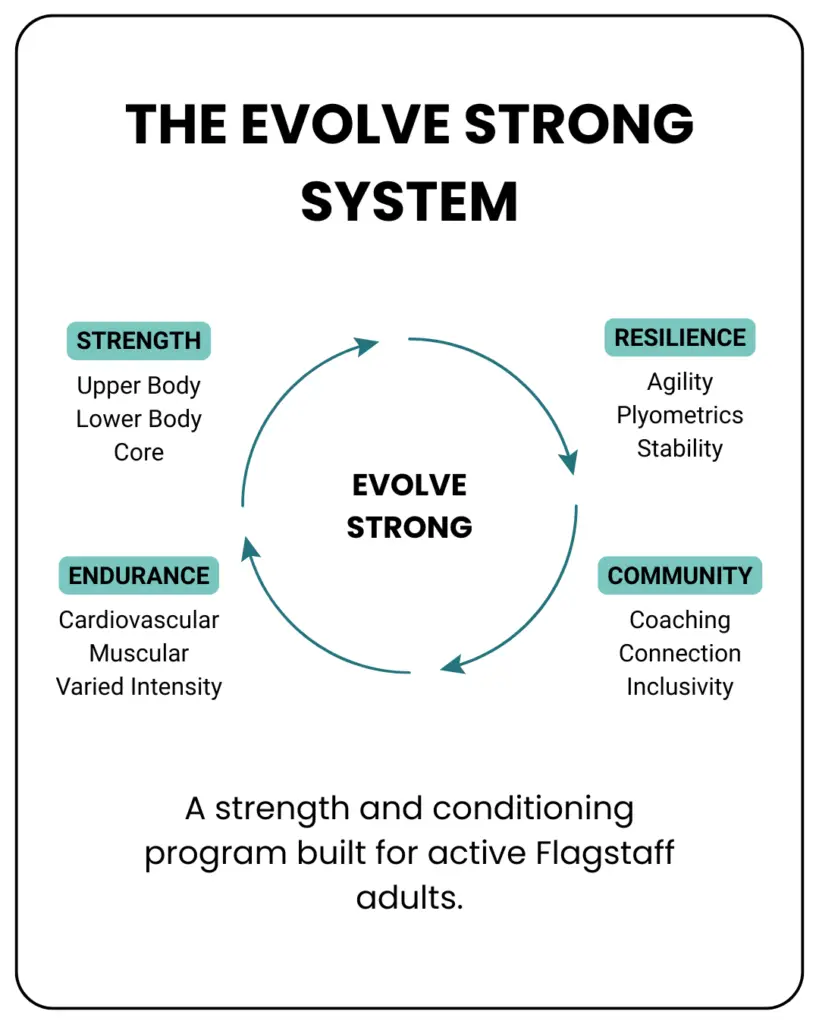 Circular EVOLVE Strong infographic with EVOLVE Strong in the center and four connected elements around it: Strength, Resilience, Community, and Endurance.